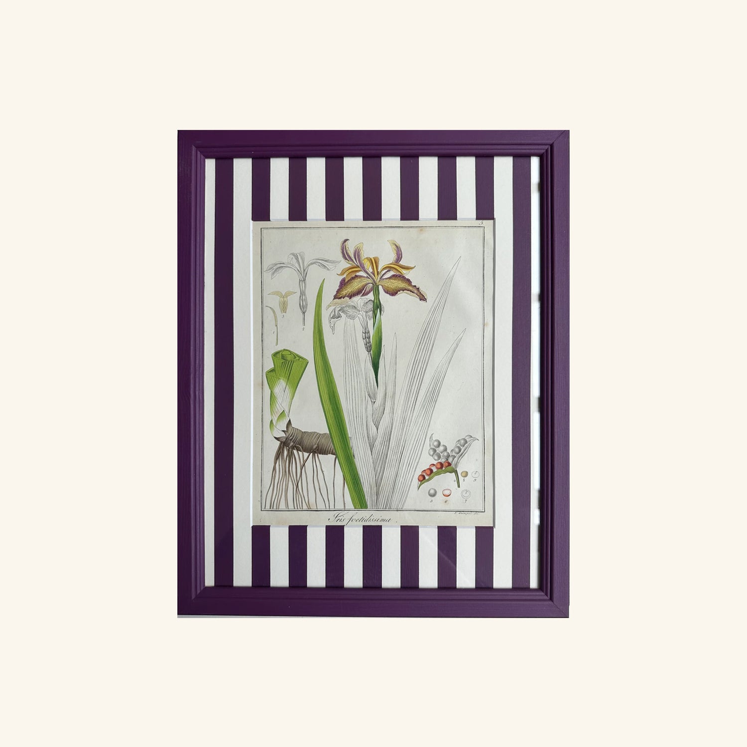 Striped Botanicals