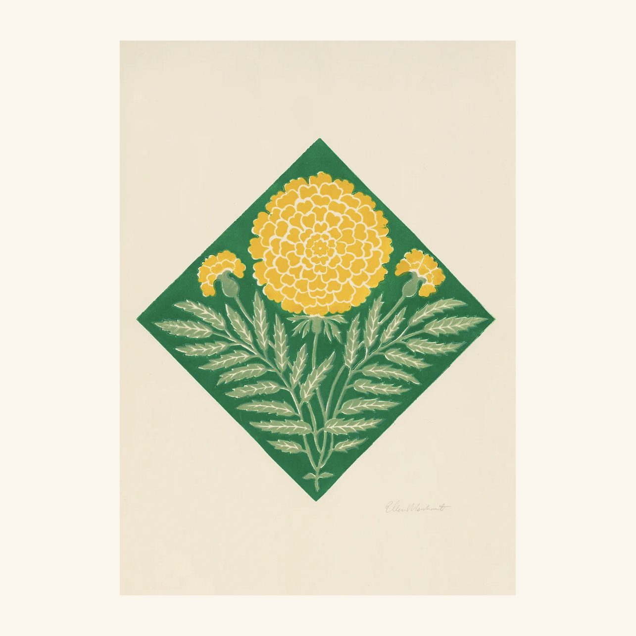 Marigold Print Ellen Merchant