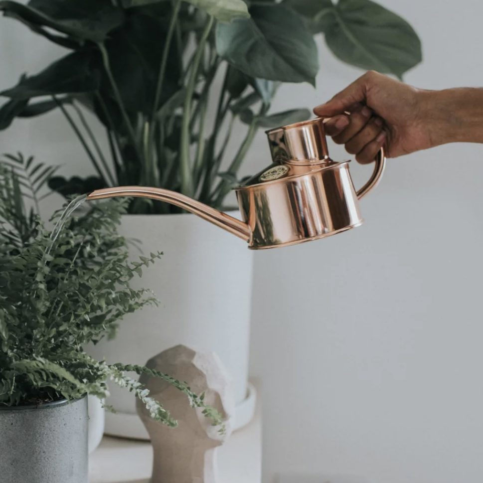 The Fazeley Flow Watering Can Haws