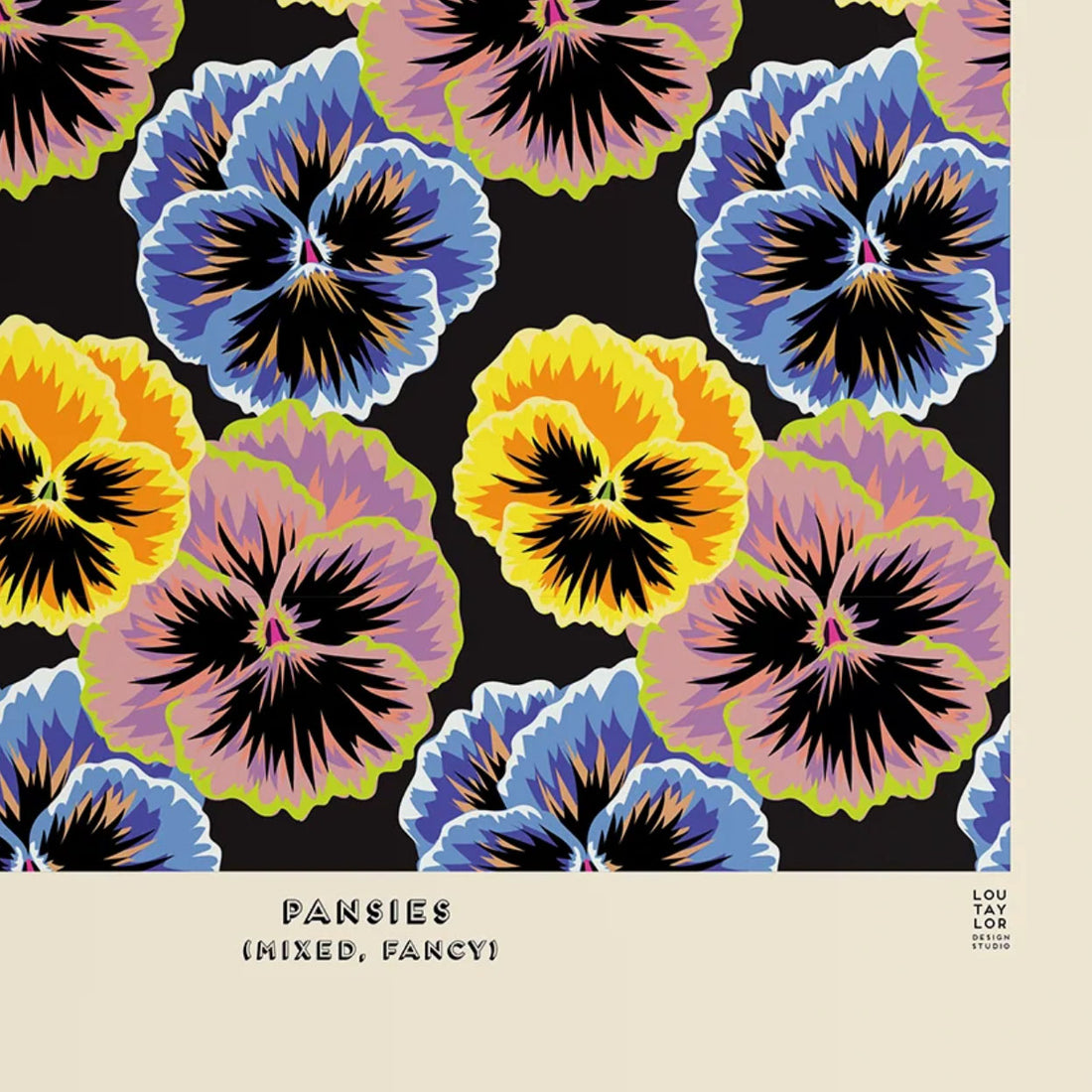 Pansies (mixed, fancy) Print Lou Taylor Design Studio