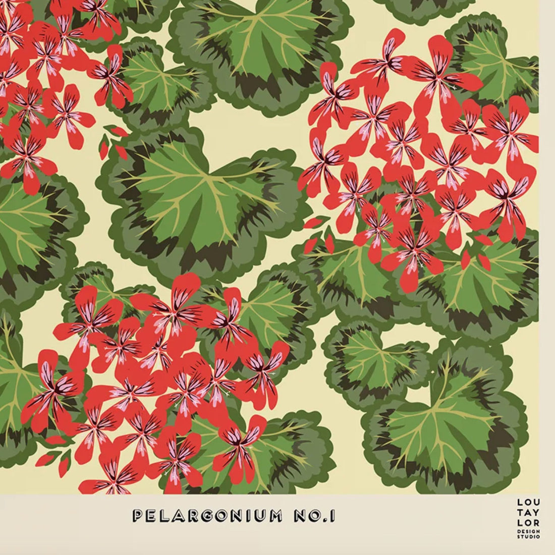 Pelargonium No. 1 Print Lou Taylor Design Studio