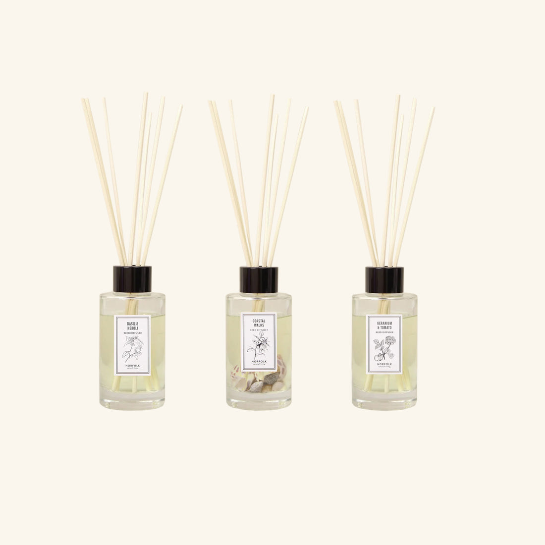 Reed Diffuser Oil Set Norfolk Natural Living