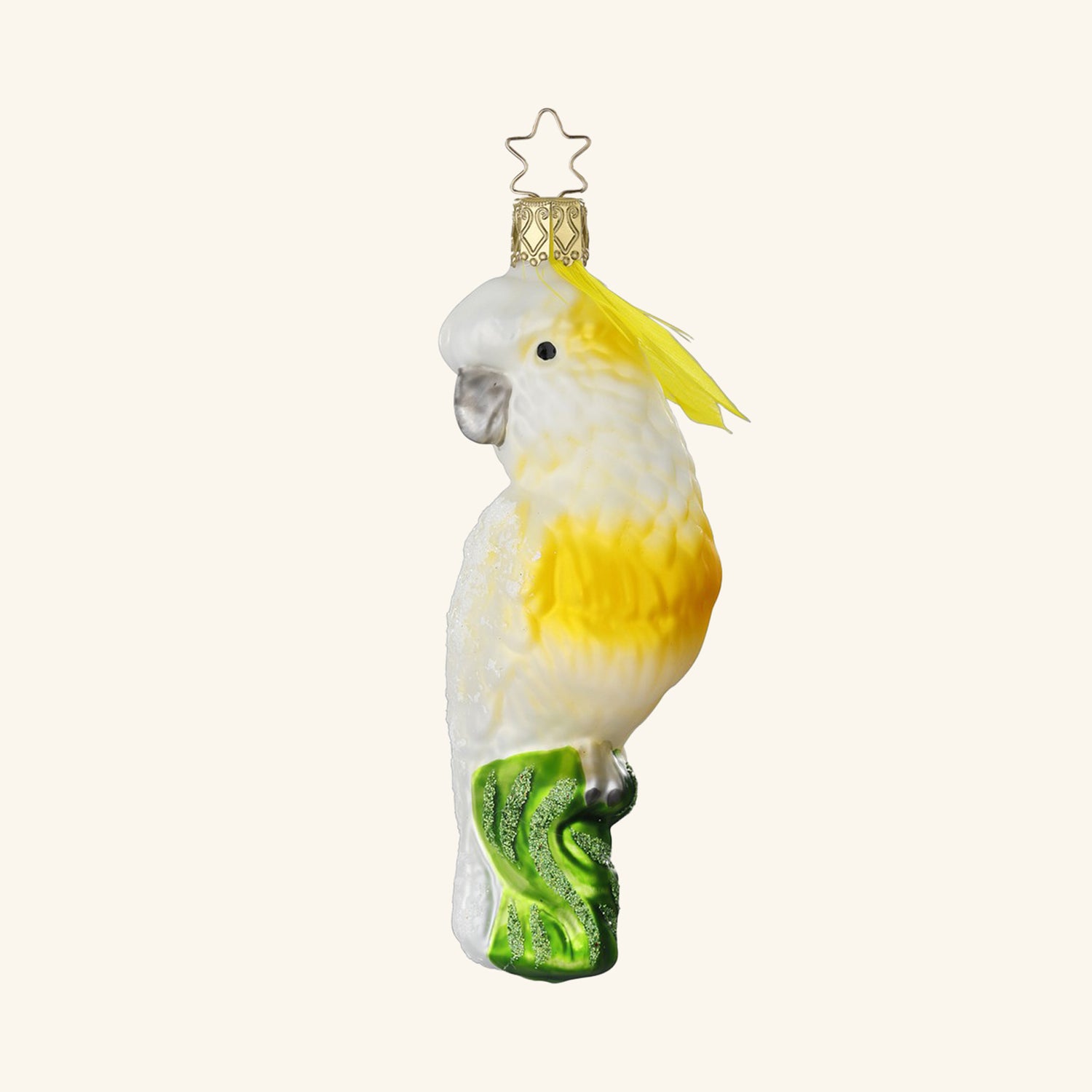 Cockatoo