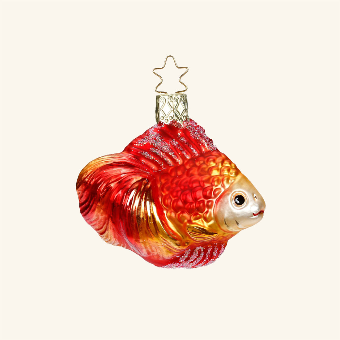 Ornamental Fish