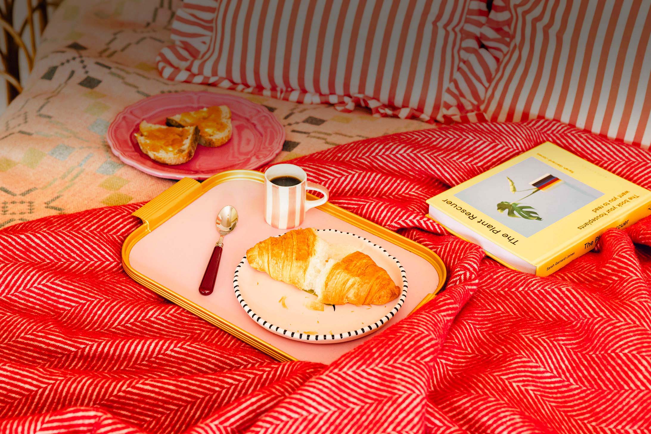 Breakfast in bed with red blanket, pink crockery and serving tray and The Planter Rescuer book