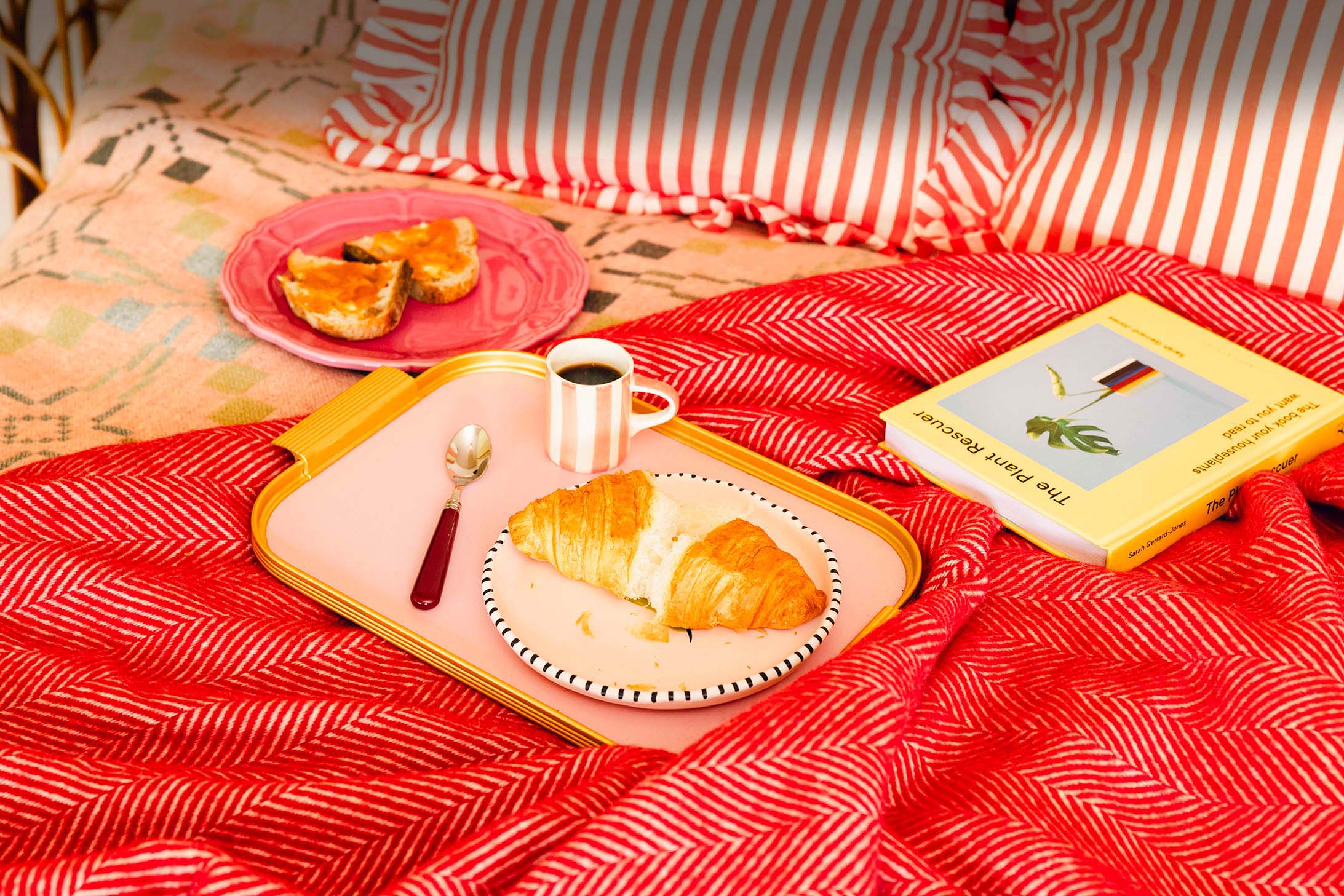 Breakfast in bed with red blanket, pink crockery and serving tray and The Planter Rescuer book