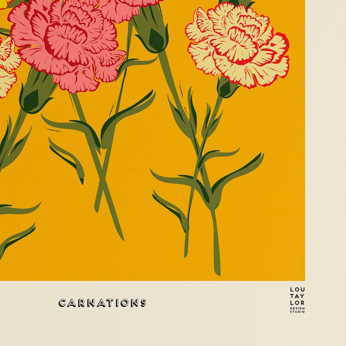 Carnations Print Lou Taylor Design Studio